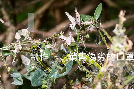 制作、銷售偽劣的口罩的如何定罪處罰